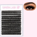 Blush Lash Tray ONLY
